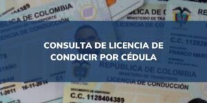 consultar licencia conducir colombia 2022